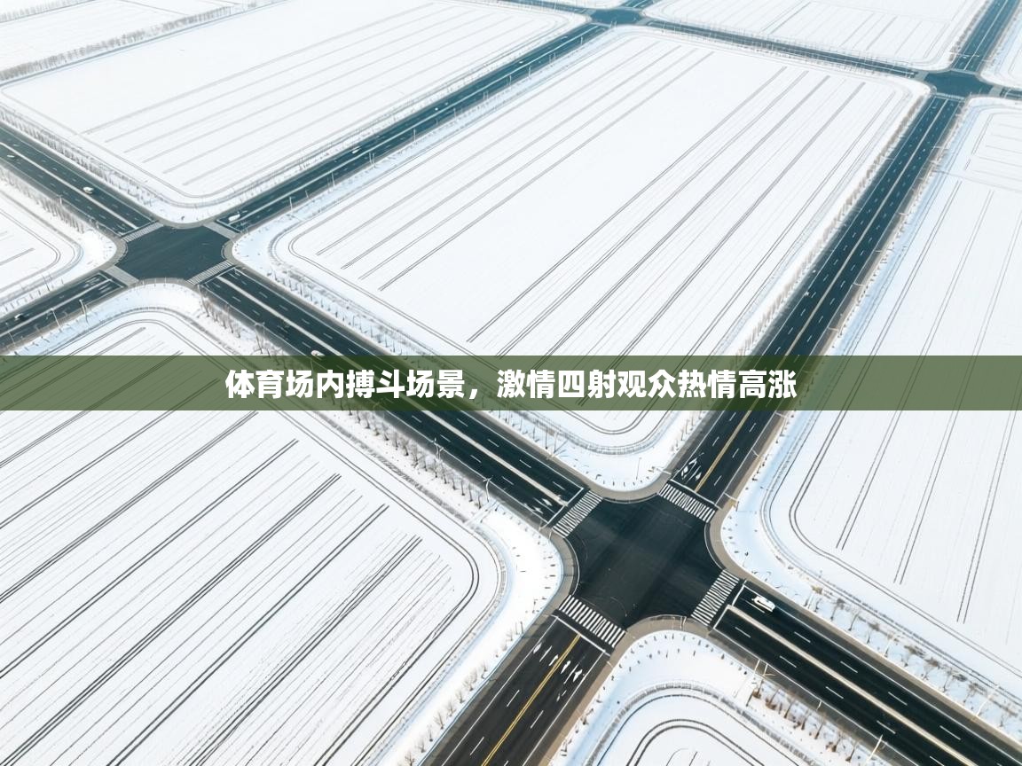 体育场内搏斗场景，激情四射观众热情高涨  第2张